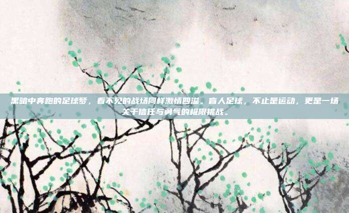 黑暗中奔跑的足球梦，看不见的战场同样激情四溢。盲人足球，不止是运动，更是一场关于信任与勇气的极限挑战。