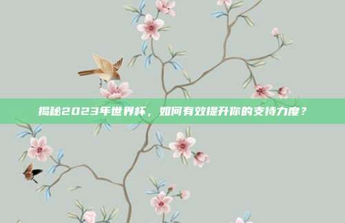 揭秘2023年世界杯,如何有效提升你的支持力度?