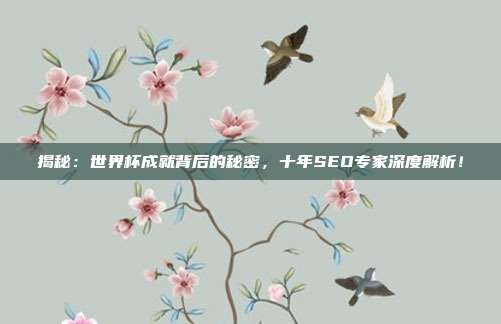揭秘:世界杯成就背后的秘密,十年SEO专家深度解析!