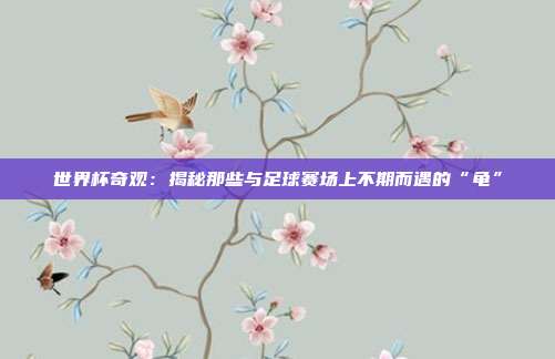 世界杯奇观：揭秘那些与足球赛场上不期而遇的“龟”