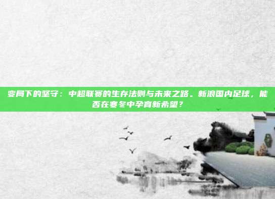 变局下的坚守：中超联赛的生存法则与未来之路。新浪国内足球，能否在寒冬中孕育新希望？