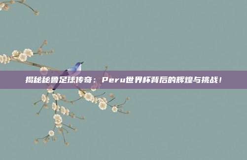 揭秘秘鲁足球传奇：Peru世界杯背后的辉煌与挑战！