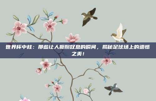 世界杯中柱：那些让人扼腕叹息的瞬间，揭秘足球场上的遗憾之美！