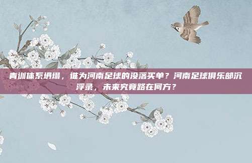 青训体系坍塌，谁为河南足球的没落买单？河南足球俱乐部沉浮录，未来究竟路在何方？