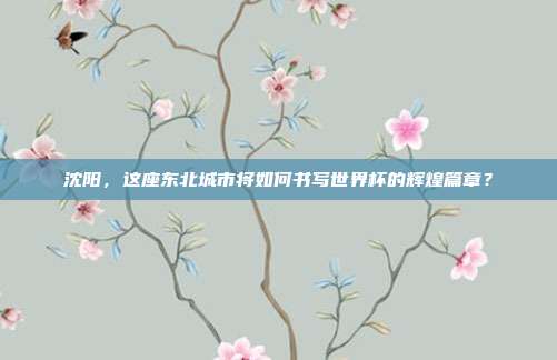 沈阳，这座东北城市将如何书写世界杯的辉煌篇章？