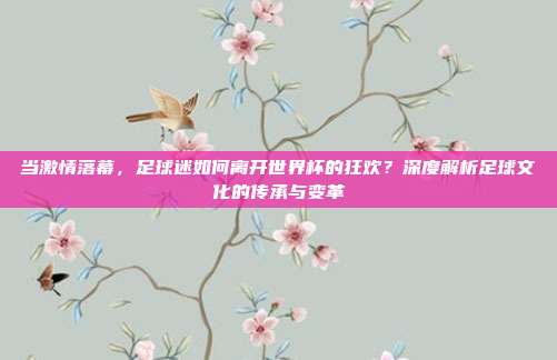 当激情落幕,足球迷如何离开世界杯的狂欢?深度解析足球文化的传承与变革