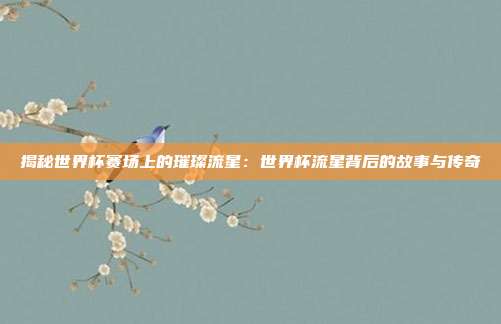 揭秘世界杯赛场上的璀璨流星:世界杯流星背后的故事与传奇