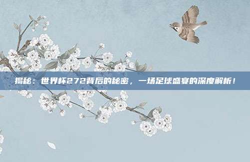 揭秘:世界杯272背后的秘密,一场足球盛宴的深度解析!