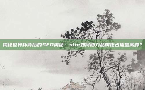揭秘世界杯背后的SEO奥秘：site如何助力品牌抢占流量高峰？
