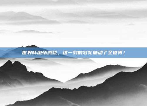 世界杯激情燃烧，这一刻的敬礼感动了全世界！