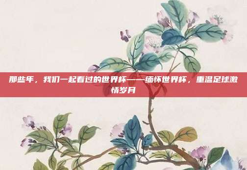 那些年，我们一起看过的世界杯——缅怀世界杯，重温足球激情岁月