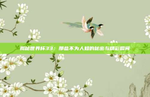 揭秘世界杯33:那些不为人知的秘密与精彩瞬间