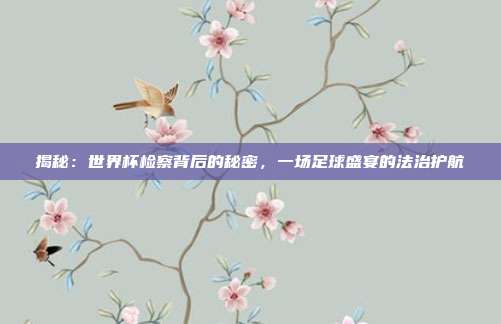 揭秘：世界杯检察背后的秘密，一场足球盛宴的法治护航