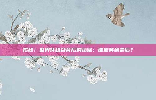 揭秘！世界杯组合背后的秘密：谁能笑到最后？