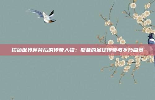 揭秘世界杯背后的传奇人物：斯基的足球传奇与不朽篇章
