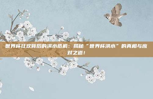 世界杯狂欢背后的洪水危机：揭秘“世界杯洪水”的真相与应对之道！