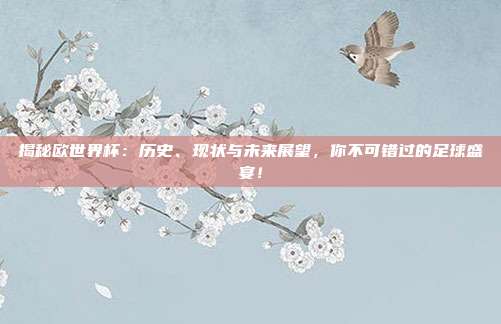 揭秘欧世界杯:历史、现状与未来展望,你不可错过的足球盛宴!