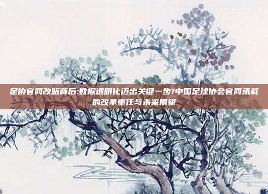 足协官网改版背后:数据透明化迈出关键一步?中国足球协会官网承载的改革重任与未来展望