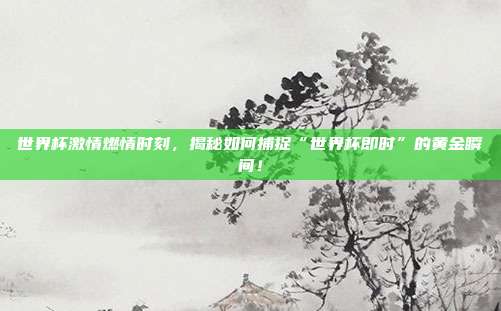 世界杯激情燃情时刻,揭秘如何捕捉“世界杯即时”的黄金瞬间!