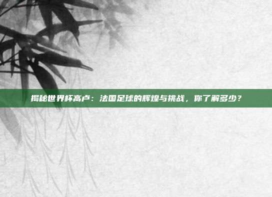 揭秘世界杯高卢:法国足球的辉煌与挑战,你了解多少?
