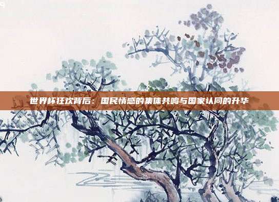世界杯狂欢背后：国民情感的集体共鸣与国家认同的升华