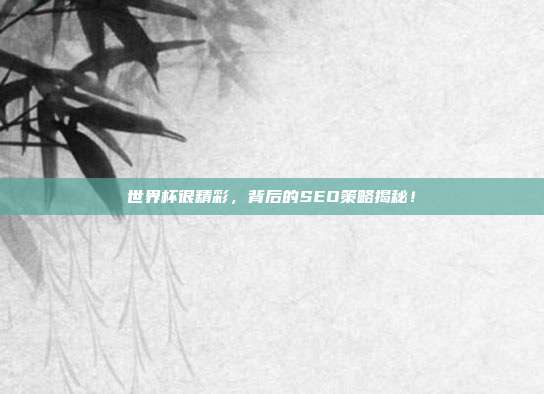 世界杯很精彩，背后的SEO策略揭秘！