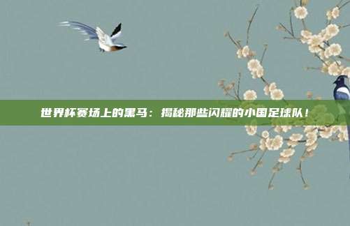 世界杯赛场上的黑马:揭秘那些闪耀的小国足球队!