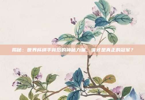 揭秘:世界杯棋手背后的神秘力量,谁才是真正的冠军?