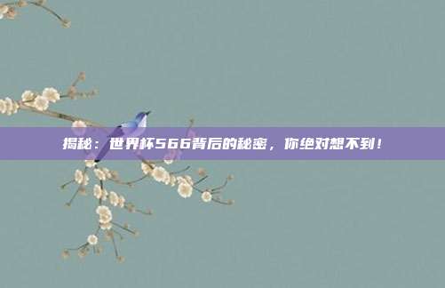 揭秘:世界杯566背后的秘密,你绝对想不到!