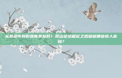 从县级市到职业联赛标杆！昆山足球崛起之路暗藏哪些惊人密码？