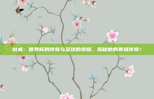 杜威：世界杯的传奇与足球的荣耀，揭秘他的赛场传奇！