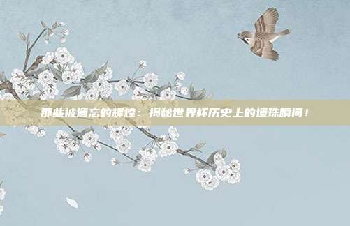 那些被遗忘的辉煌：揭秘世界杯历史上的遗珠瞬间！