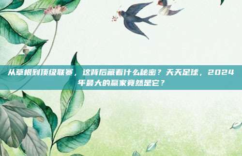 从草根到顶级联赛，这背后藏着什么秘密？天天足球，2024年最大的赢家竟然是它？