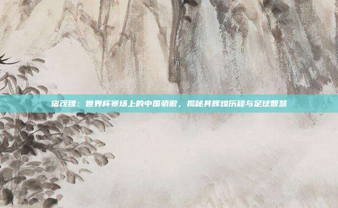 宿茂臻：世界杯赛场上的中国骄傲，揭秘其辉煌历程与足球智慧