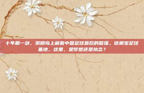 十年磨一剑，崇明岛上藏着中国足球最后的倔强。徐根宝足球基地。这里，是梦想还是执念？