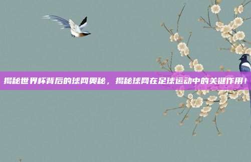 揭秘世界杯背后的球网奥秘，揭秘球网在足球运动中的关键作用！