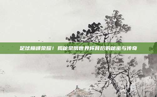 足球巅峰荣耀!揭秘荣膺世界杯背后的秘密与传奇