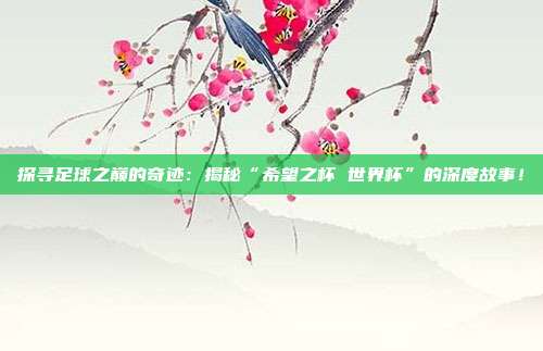 探寻足球之巅的奇迹：揭秘“希望之杯 世界杯”的深度故事！