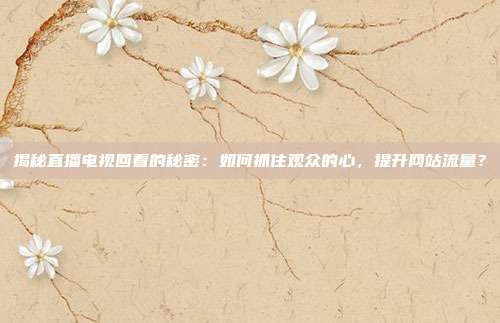 揭秘直播电视回看的秘密：如何抓住观众的心，提升网站流量？