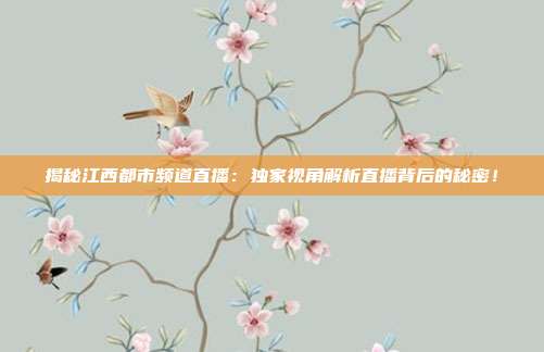 揭秘江西都市频道直播:独家视角解析直播背后的秘密!