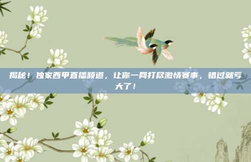 揭秘！独家西甲直播频道，让你一网打尽激情赛事，错过就亏大了！