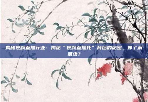 揭秘视频直播行业：揭秘“视频直播托”背后的秘密，你了解多少？