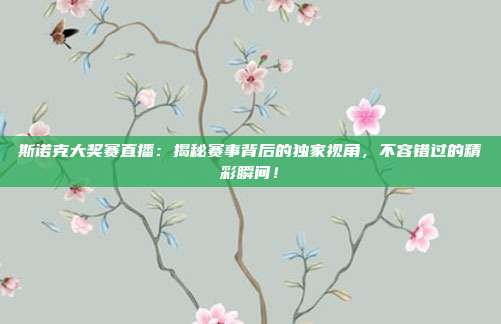 斯诺克大奖赛直播：揭秘赛事背后的独家视角，不容错过的精彩瞬间！
