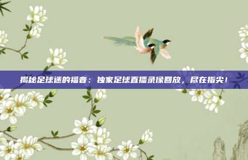 揭秘足球迷的福音：独家足球直播录像回放，尽在指尖！