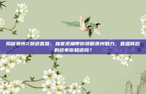 揭秘贵州2频道直播:独家视角带你领略贵州魅力,直播背后的故事你知道吗?