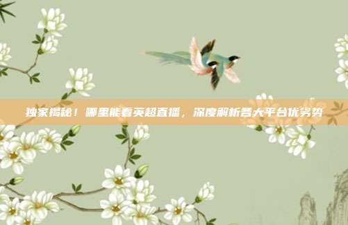 独家揭秘！哪里能看英超直播，深度解析各大平台优劣势