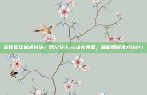揭秘篮球巅峰对决!凯尔特人vs热火直播,精彩瞬间不容错过!
