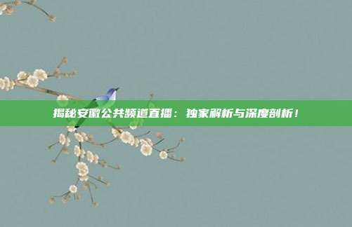 揭秘安徽公共频道直播：独家解析与深度剖析！