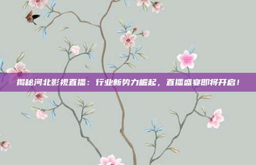 揭秘河北影视直播：行业新势力崛起，直播盛宴即将开启！