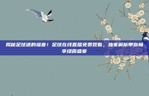 揭秘足球迷的福音！足球在线直播免费观看，独家解析带你畅享绿茵盛宴